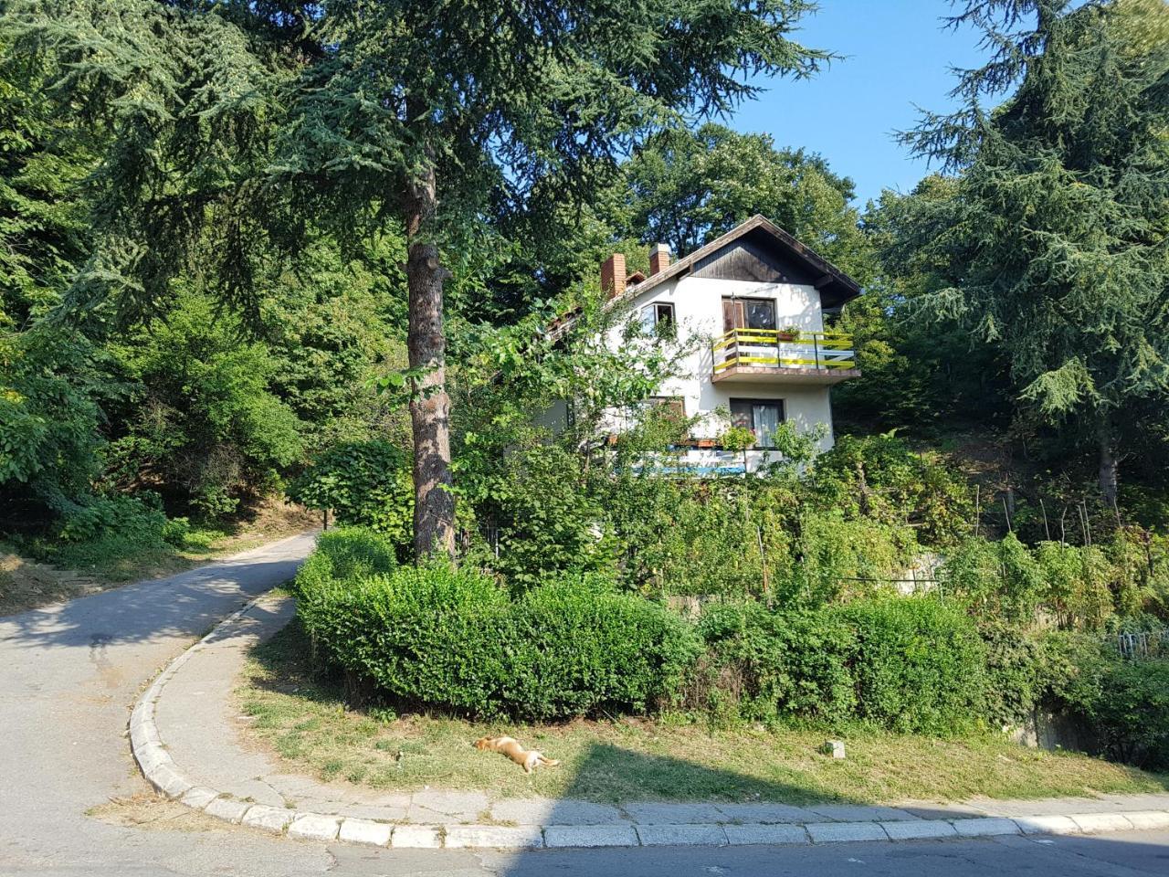 Nena & Rale Rooms Donji Milanovac Exterior foto
